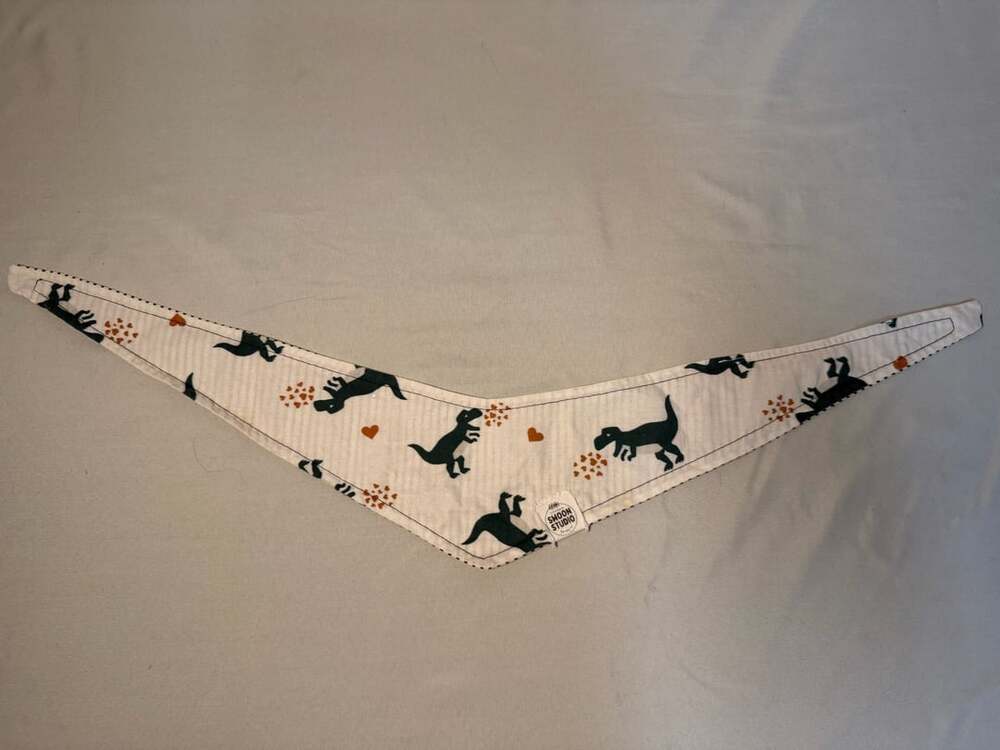 Swoon Studio Dinosaur Bandana